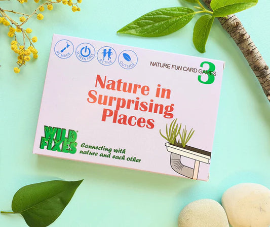 Nature Fun Card Games