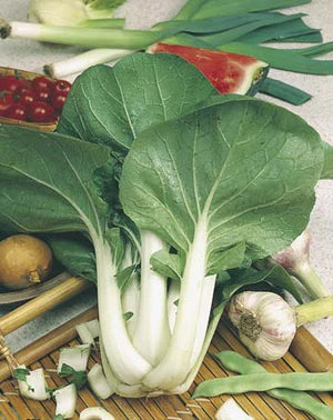 Pak Choi Chinese Greens F1 500 Seeds