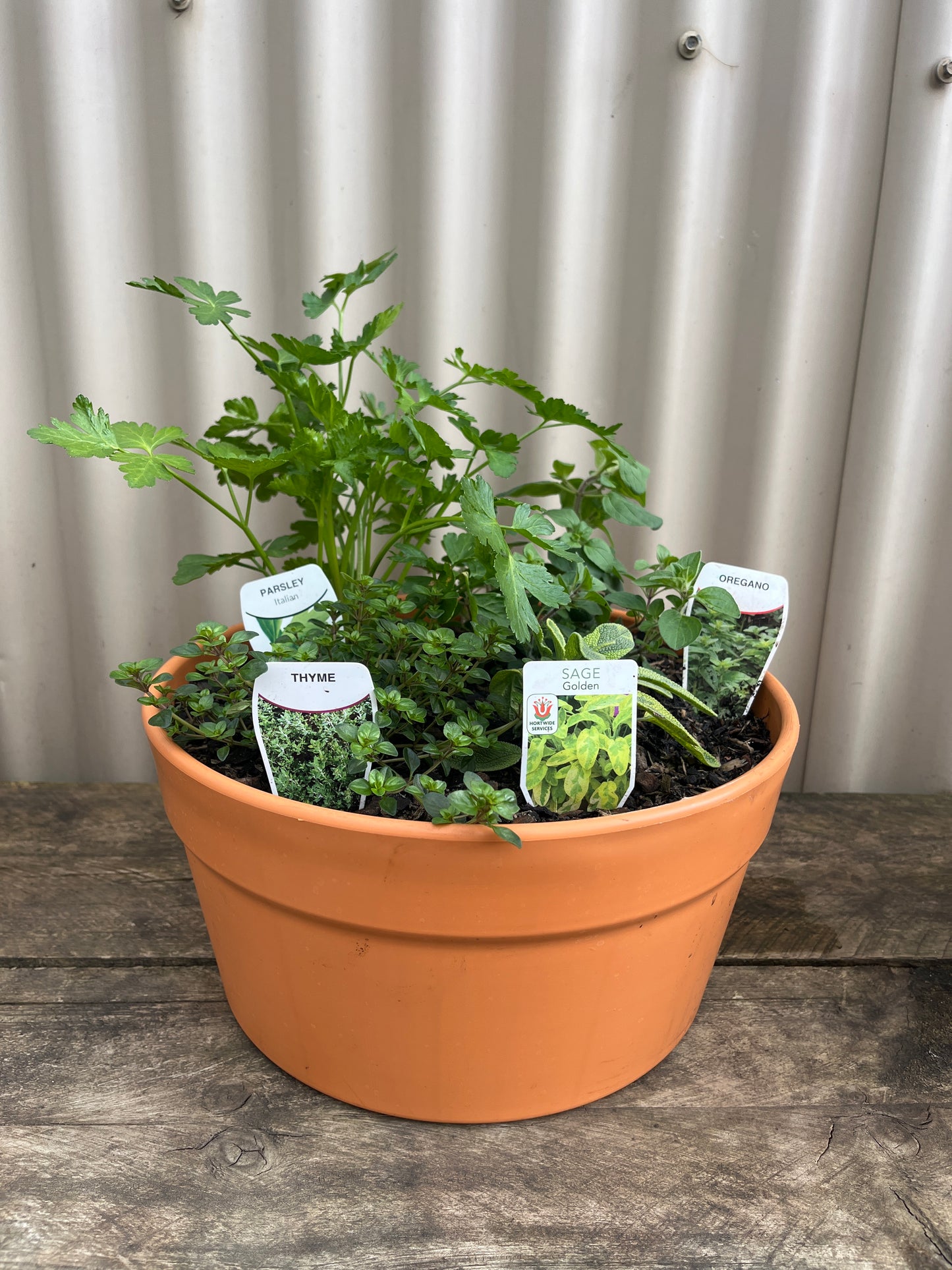 5 Herb Cottage Pot 300mm