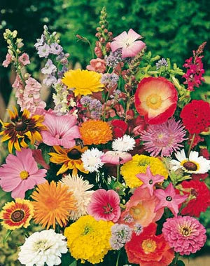 Cottage Garden Mix Seeds 1.4g