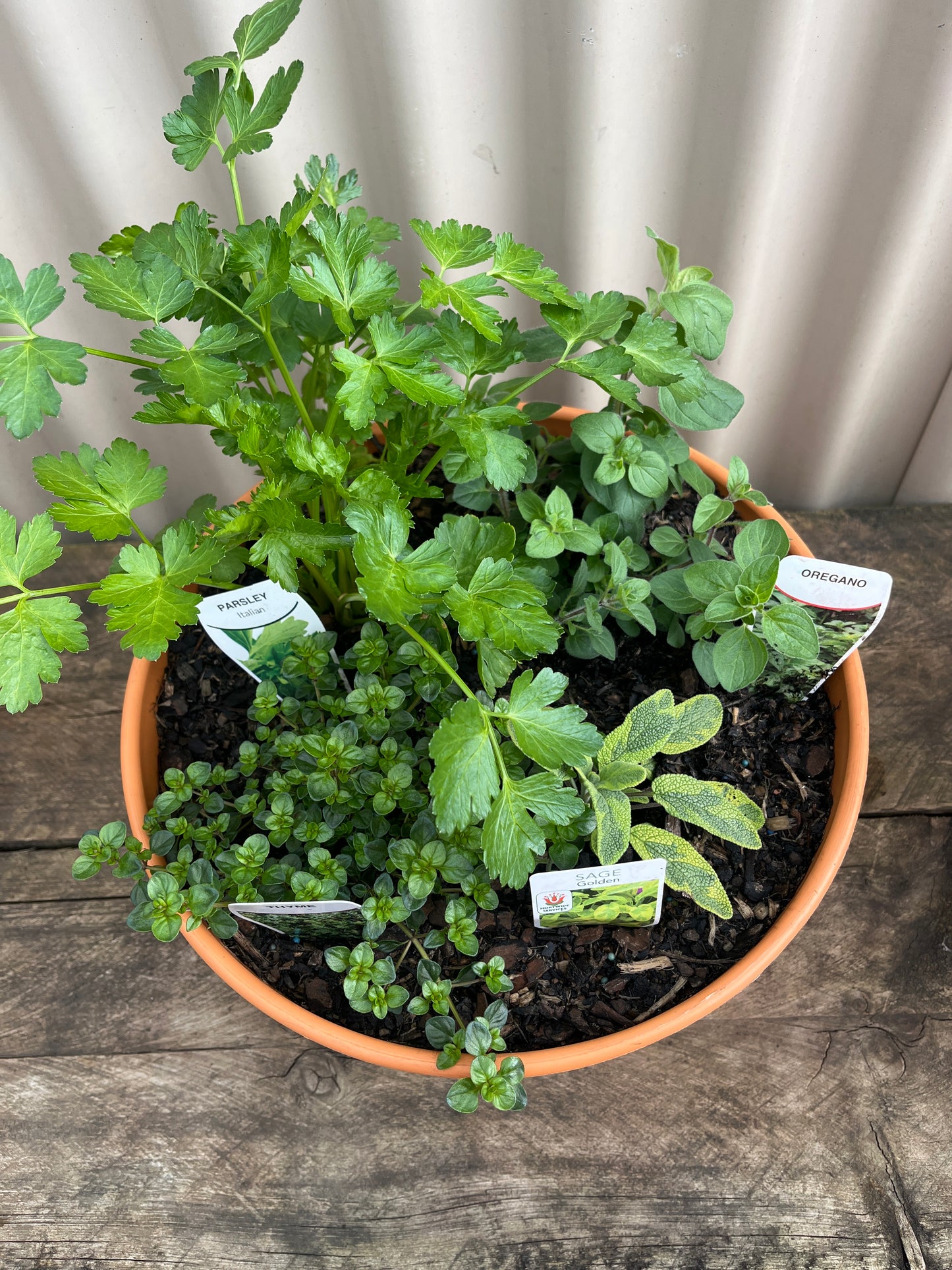 5 Herb Cottage Pot 300mm