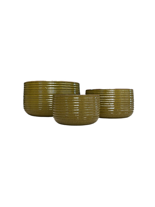 Auburn Bowl Olive- Various Sizes