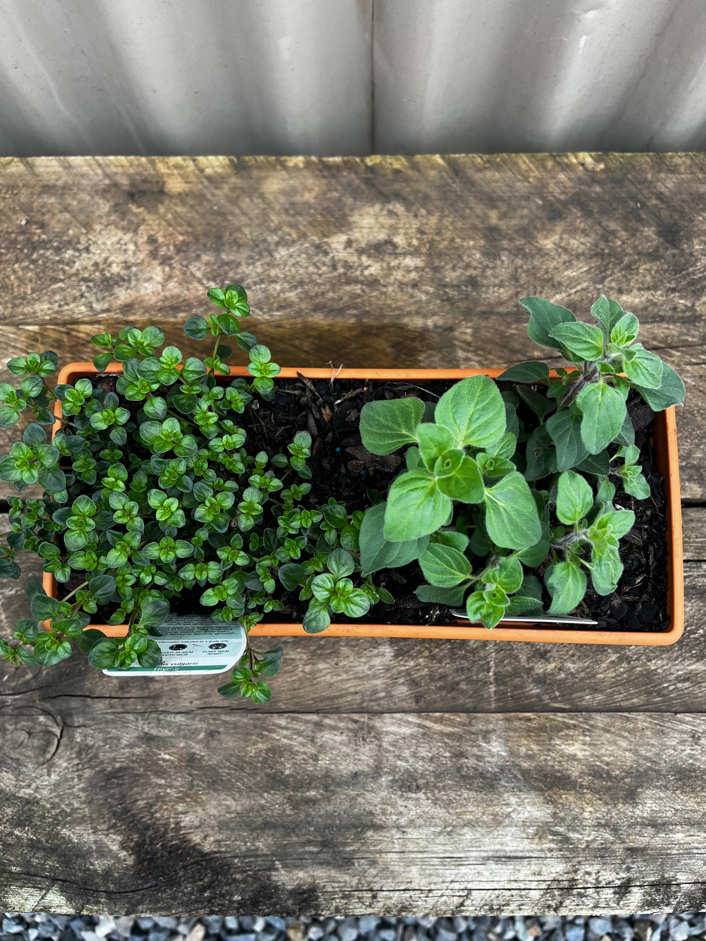 Herb Window Box 250mm