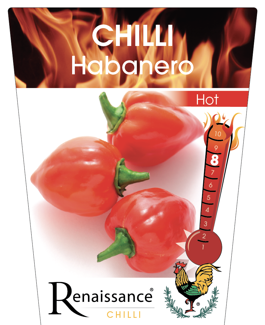 Chilli Habanero Red 95mm