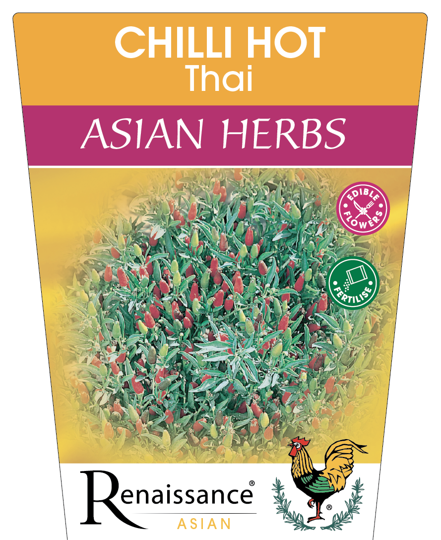 Chilli Thai Hot 95mm