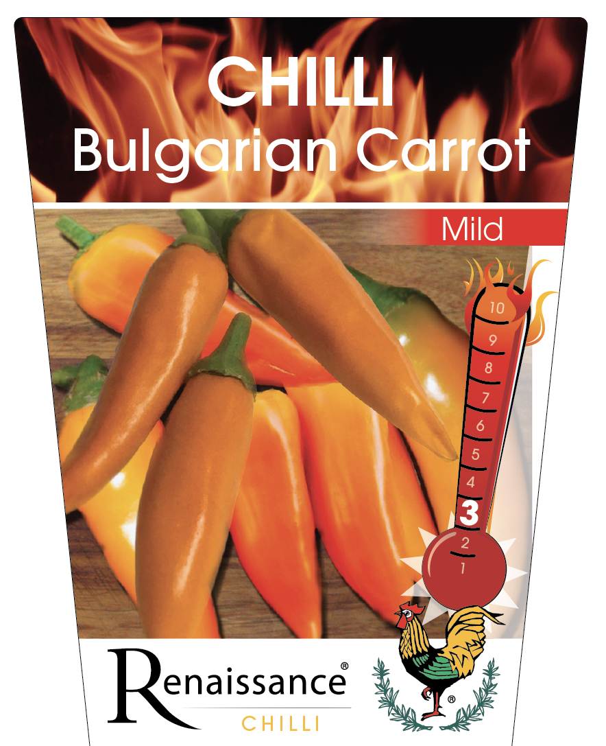 Chilli Bulgarian Carrot 95mm
