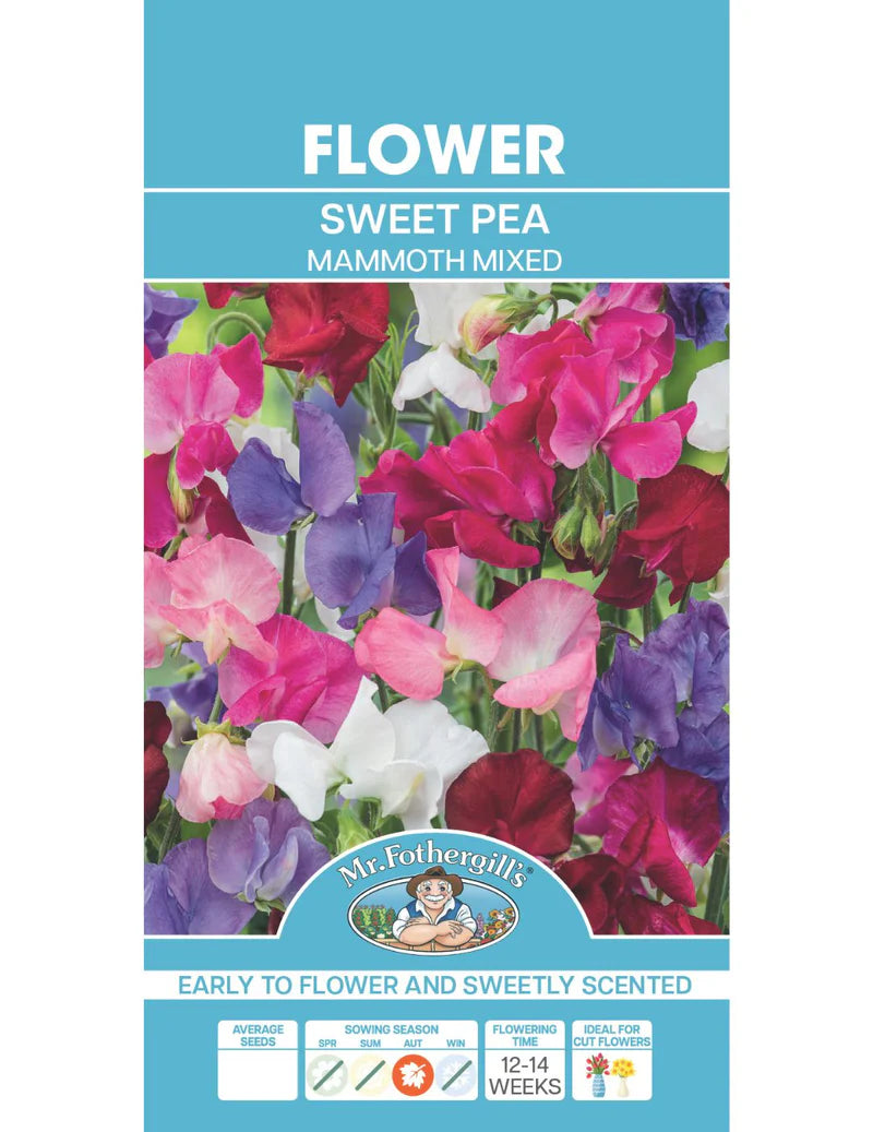 Mammoth Mixed Sweet Pea 35 Seeds