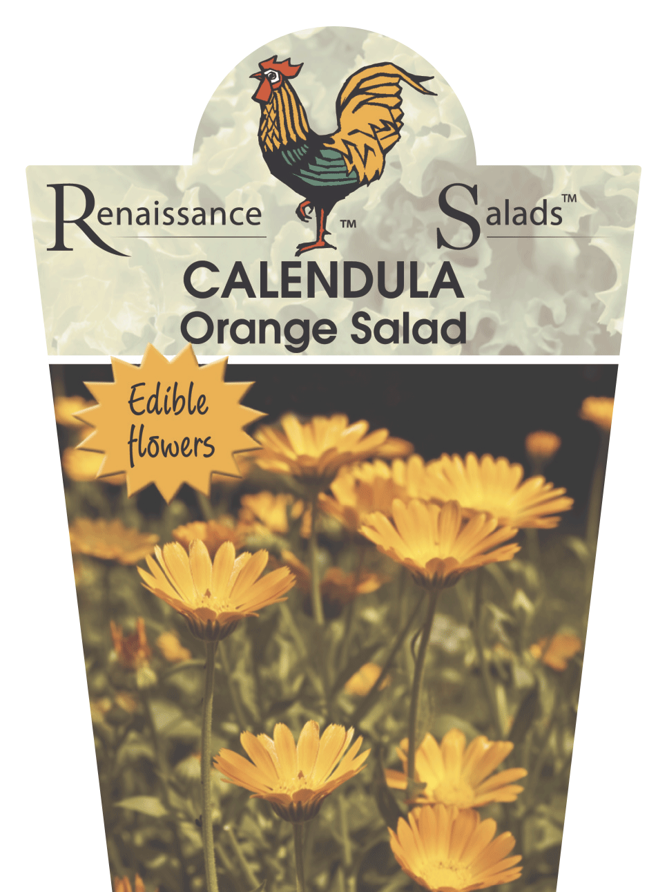 Calendula officinalis Orange Salad 95mm