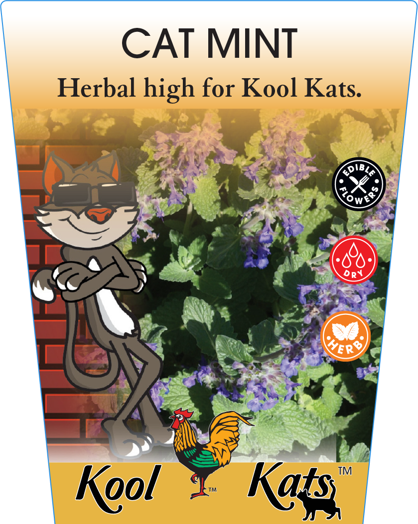 Catmint 95mm