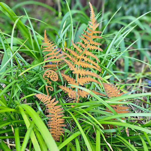 Rust Fern Stake - Set of 6