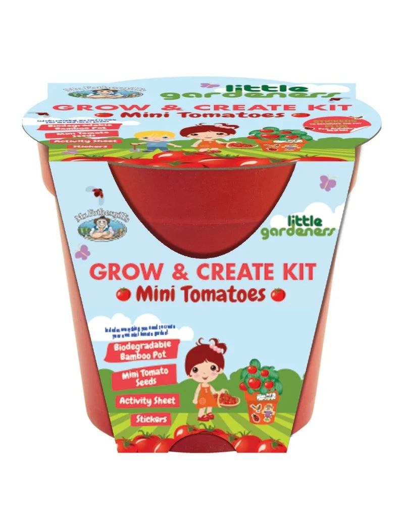 Little Gardeners Grow & Create Mini Tomato Pot