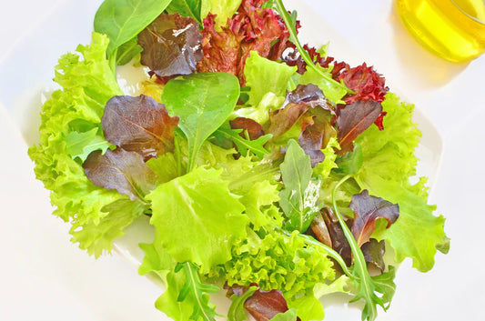 Mesclun Gourmet Salad Mix 2050 Seeds