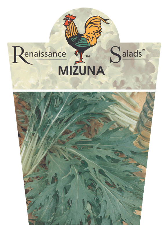 Mizuna 95mm