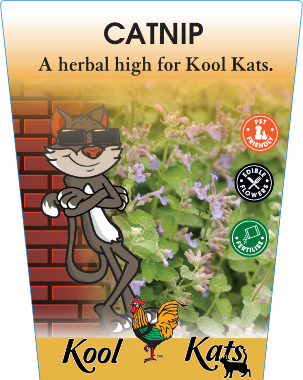 Catnip 95mm