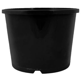 Euro Pot 200mm Squat