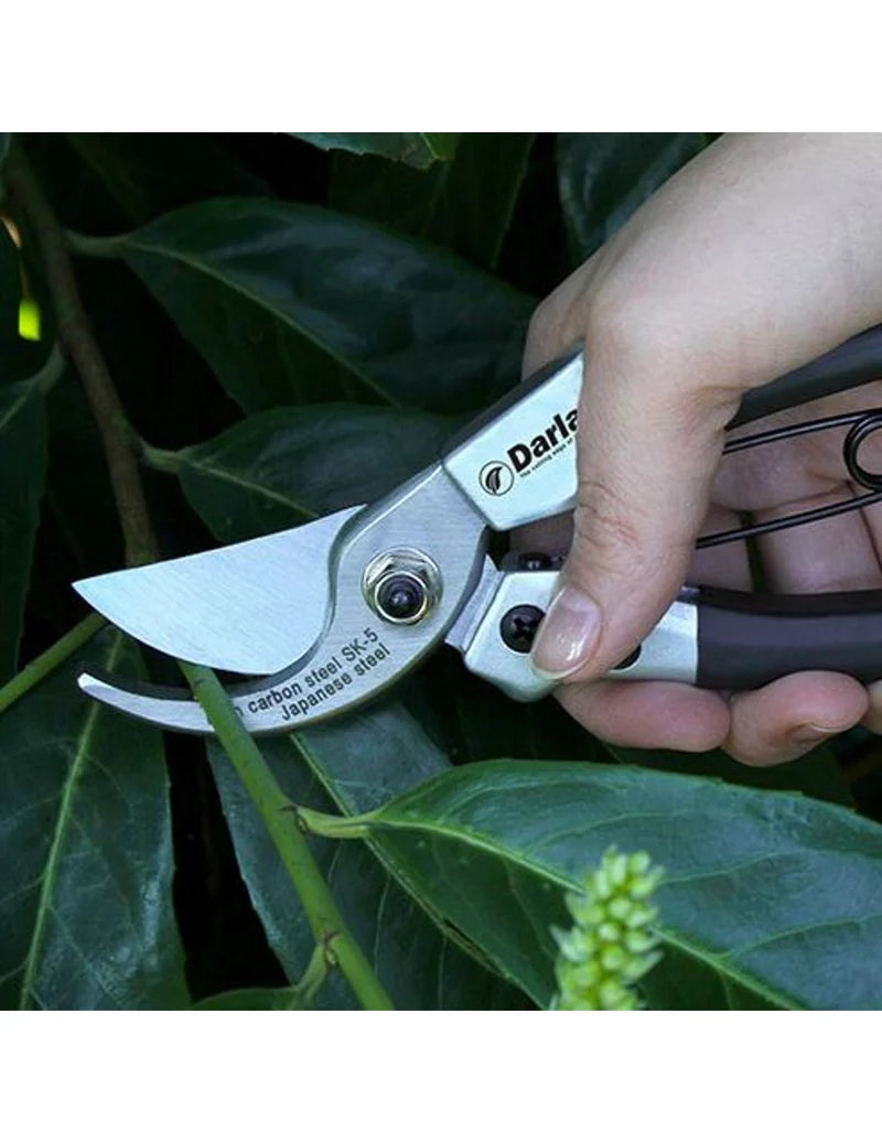Darlac Compact Bypass Pruner Secateurs