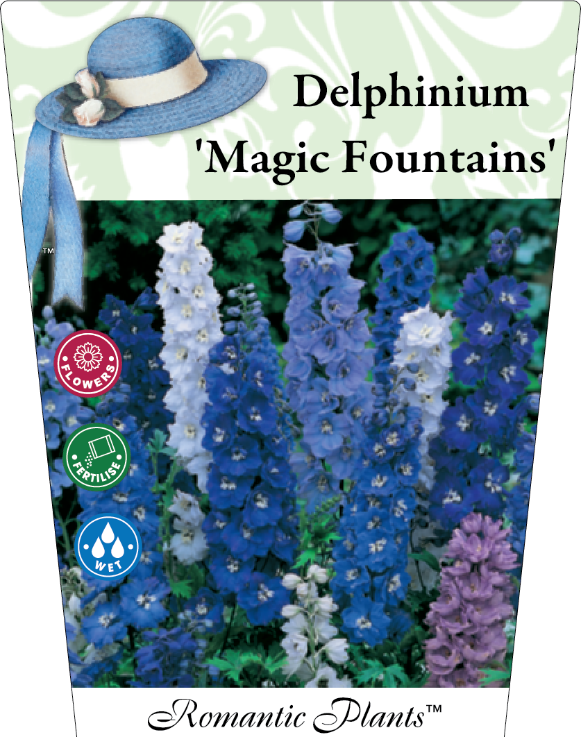 Delphinium Magic Fountains Mixed 95mm