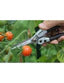 Darlac Compact Snips