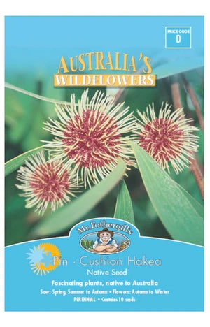 Pincushion Hakea Wildflowers 10 Seeds