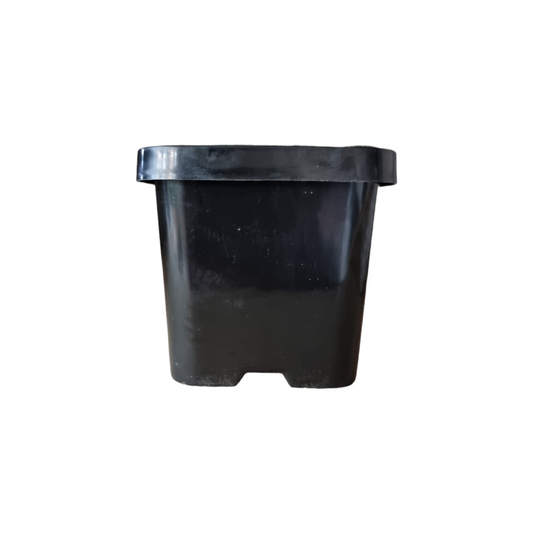 Tube Black 70mm Squat