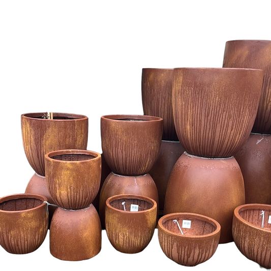 Rochester Egg Rust - Various Sizes