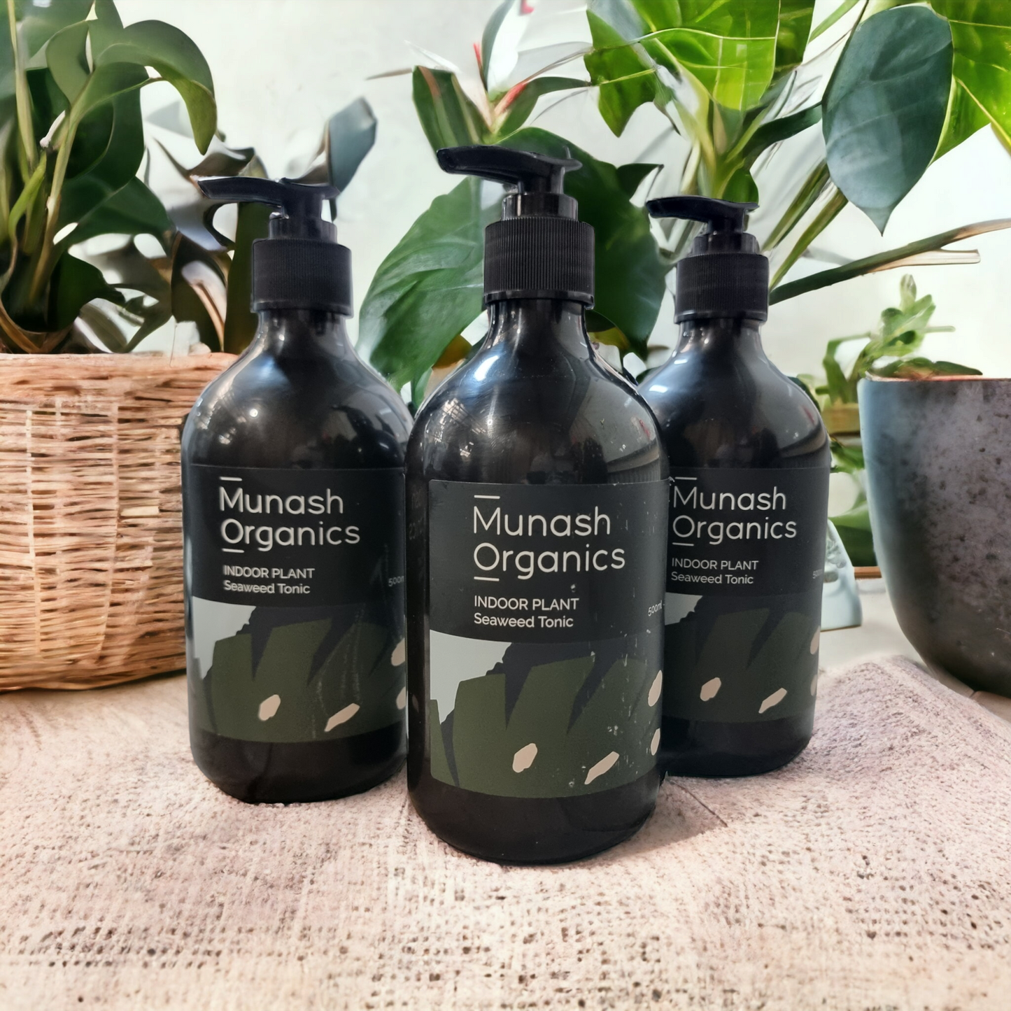 Indoor Plant Seaweed Tonic - Munash Organics 500ml