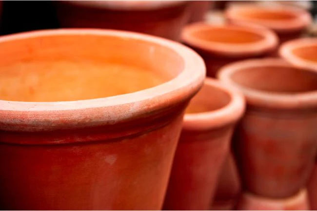 Indoor & Outdoor Pots