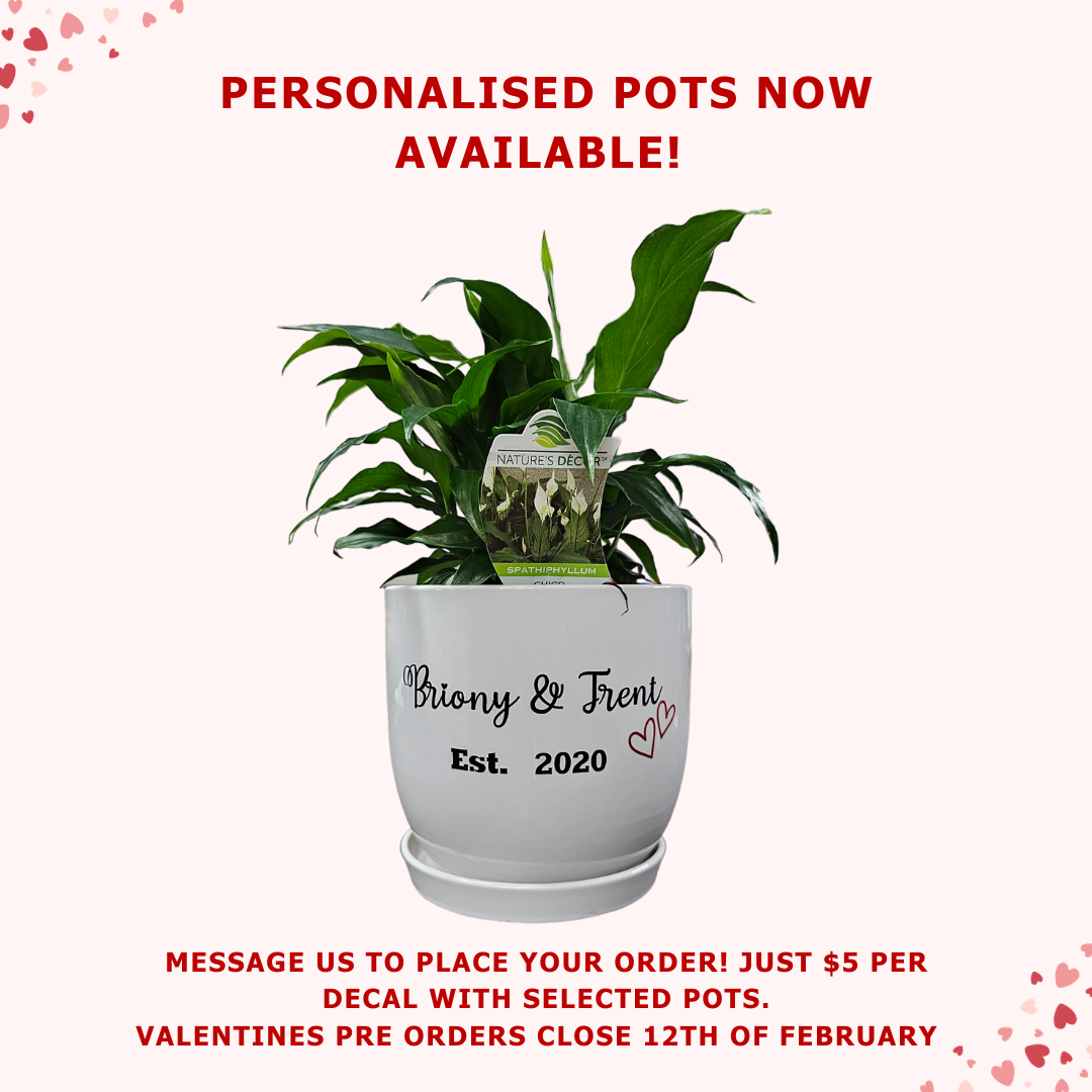 Personalised Pots