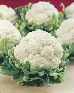 Cauliflower All Year Round 200 Seeds