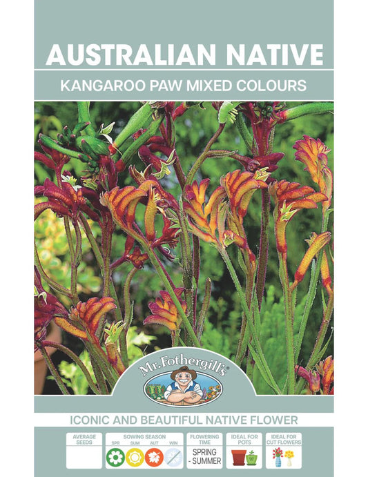 Kangaroo Paw Mixed Colours Wildflower Seeds 100 Seeds