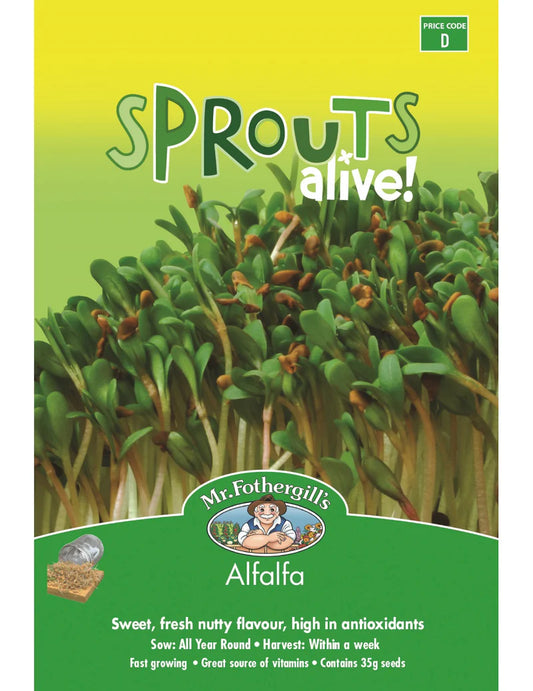 Alfalfa Sprouts 35g