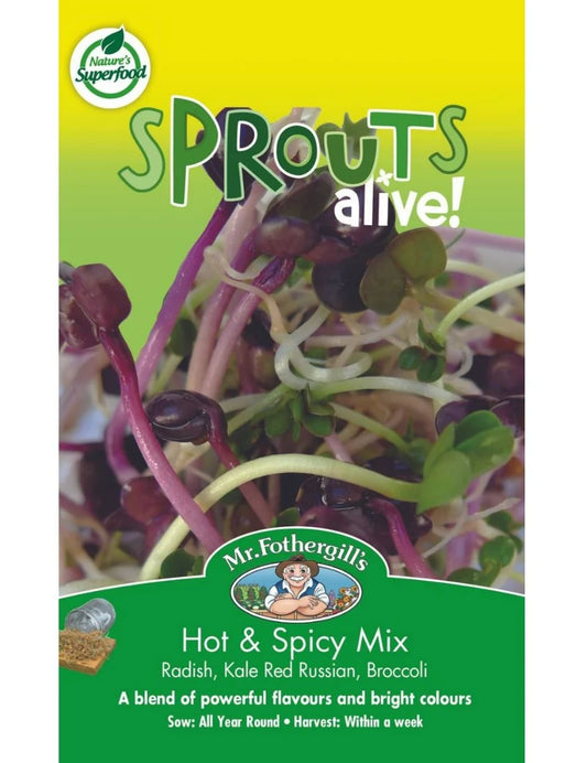 Hot & Spicy Mix Sprouts 30g