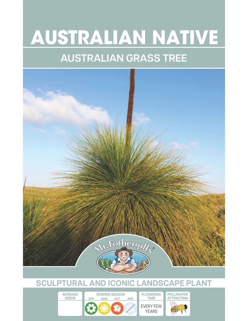 Australian Grass Tree Wildflower 35 Seeds