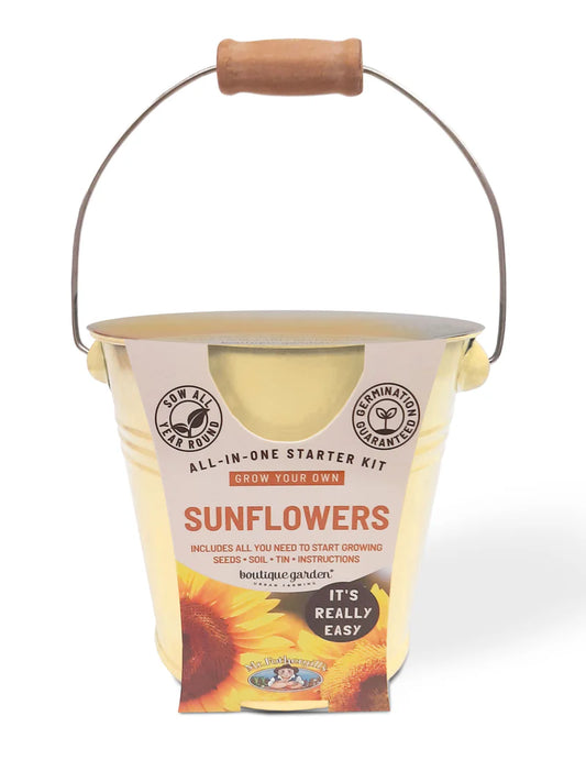 Sunflower - Round Grow Kit Tin