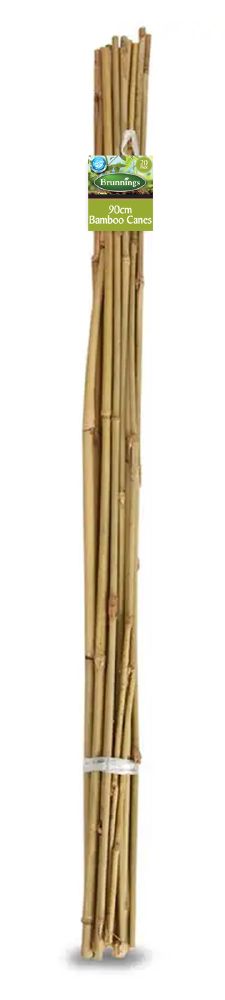 Bamboo Stakes 90cm 20 Pack