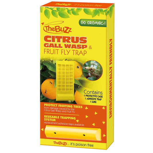 Gall Wasp & Fruit Fly Trap