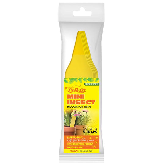 Insect Traps 5 Pack