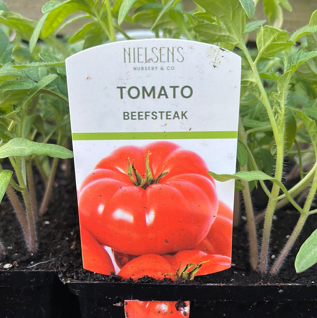 Tomato Beefsteak Punnet