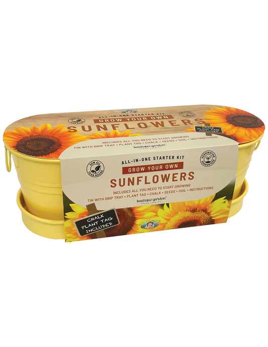 Sunflower - Windowsill Tin