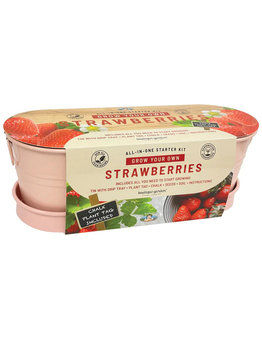 Strawberry - Windowsill Tin