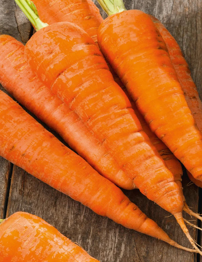 Carrot Topweight Improved 2000 Seeds