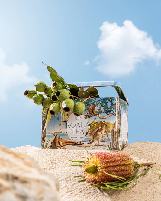 Koala Tea Beach Tin - 5 different flavours
