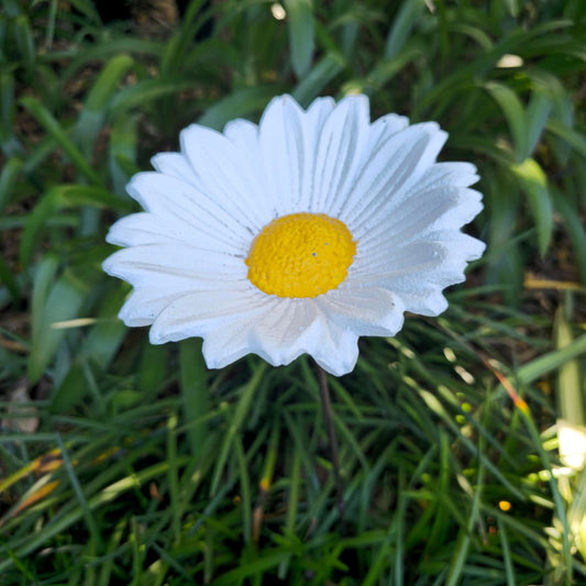 Cast Iron Flower White