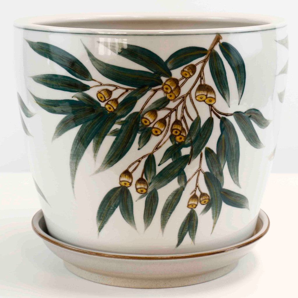 Hand Painted Gum Nut Pots - Various Sizes