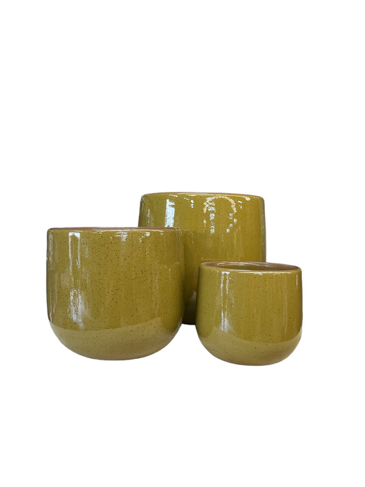 Franklin Tub Rainforest - Various Sizes