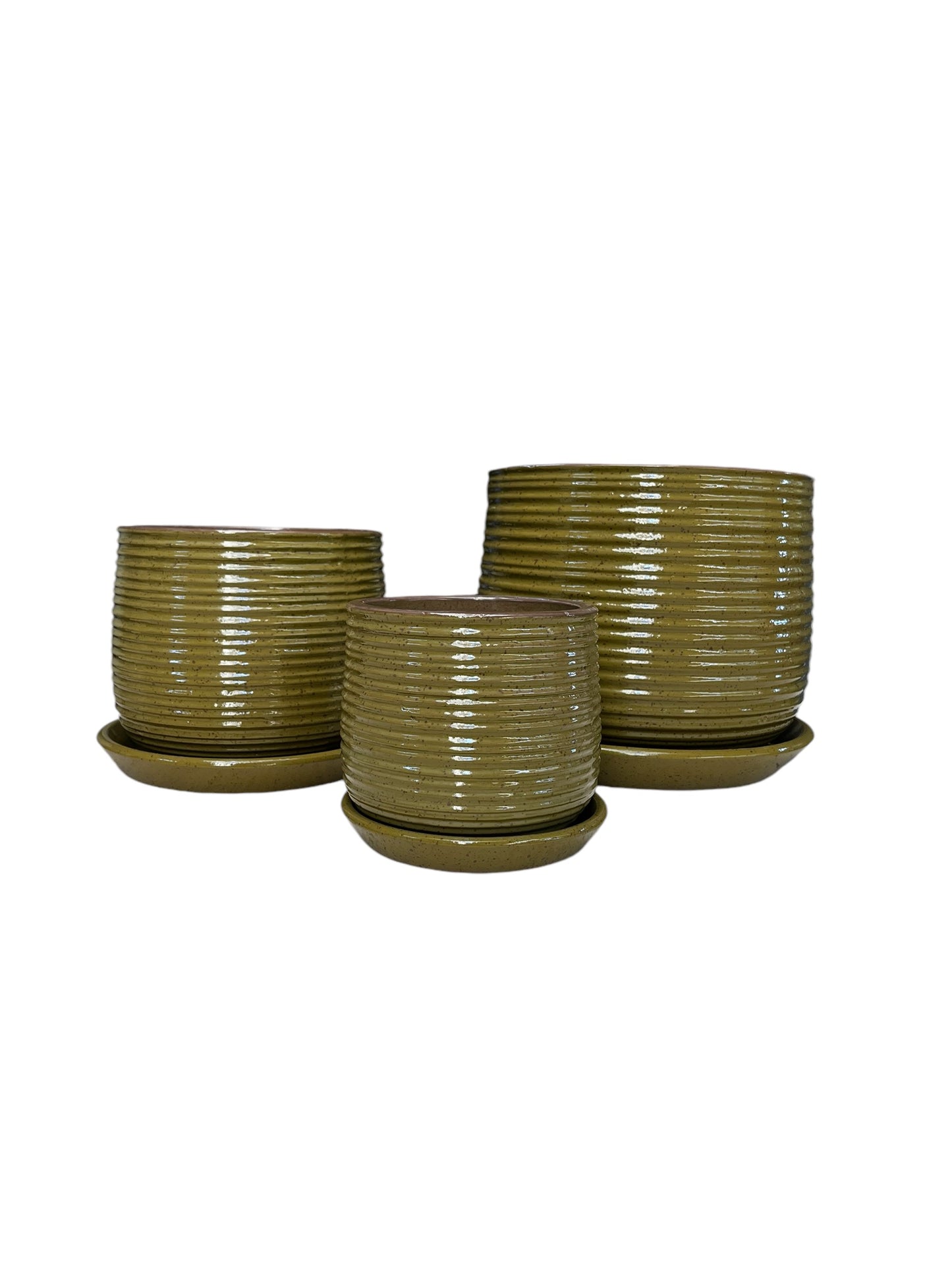 Auburn Tub Olive with saucer - Various Sizes