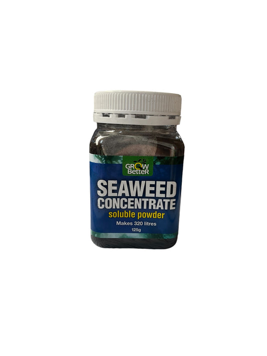 Seaweed Concerntate Powder 125g