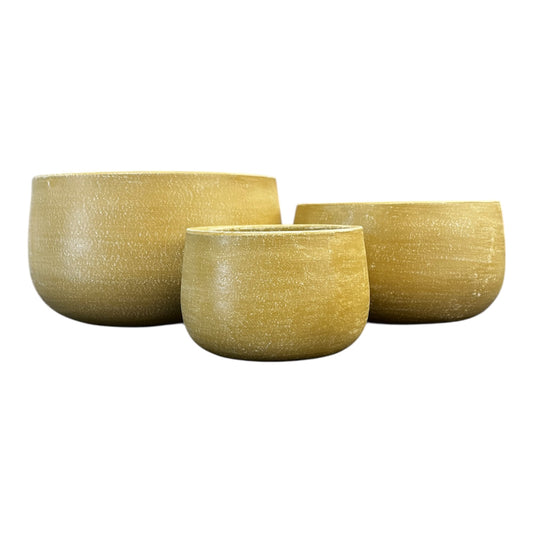 Aloe Bowl Lemon -Various Sizes