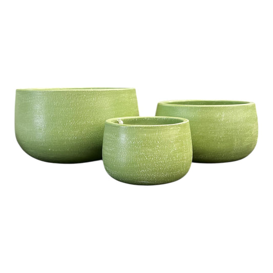 Aloe Bowl Sage - Various Sizes