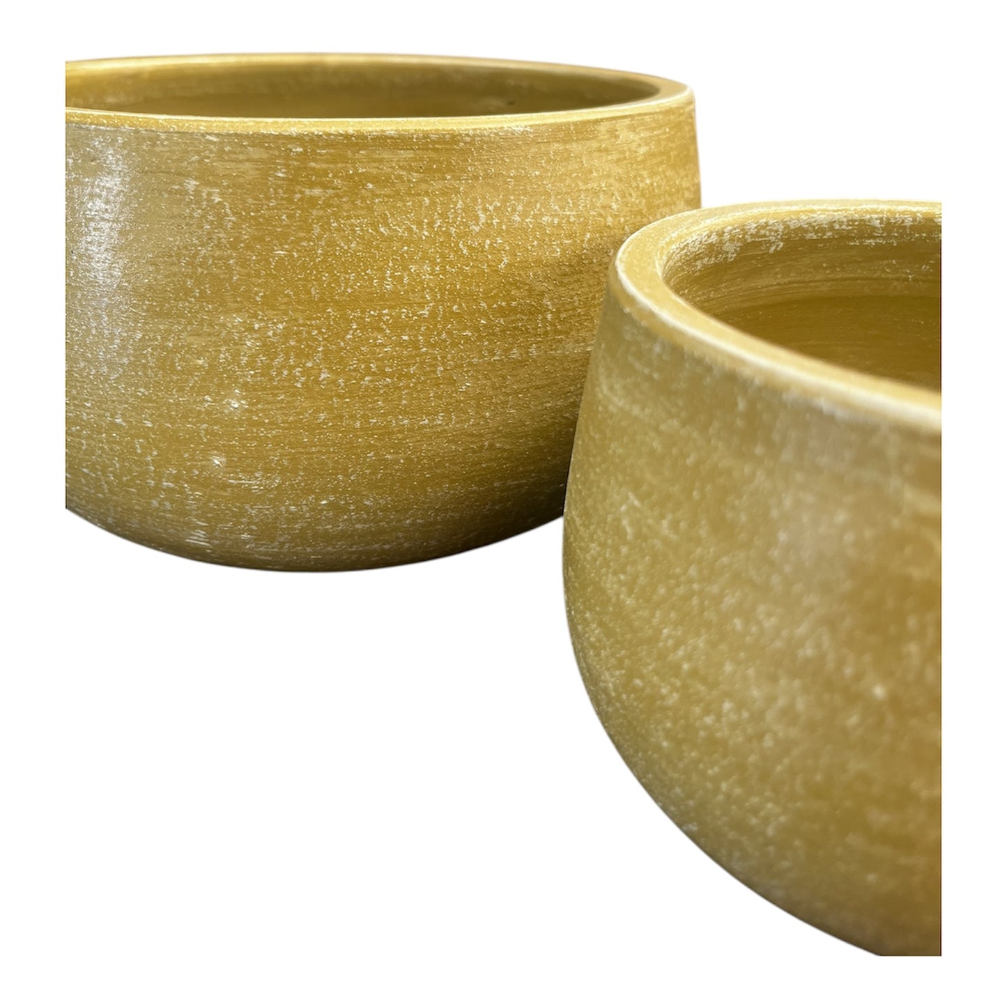 Aloe Bowl Lemon -Various Sizes